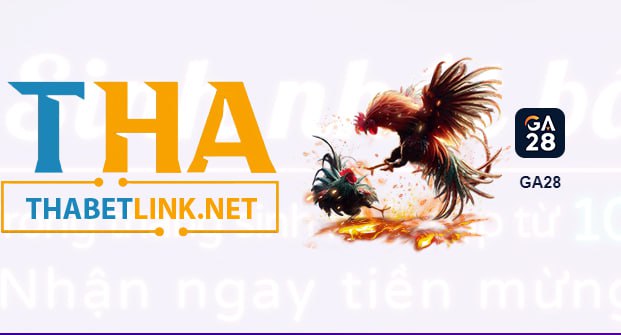 Thabet link đá gà - truy cập ngay nhận nhiều ưu đãi